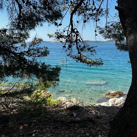 Dragon Bay - Falkor Драге