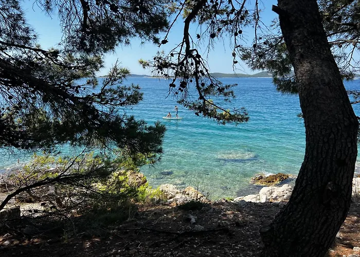 Dragon Bay - Falkor Drage