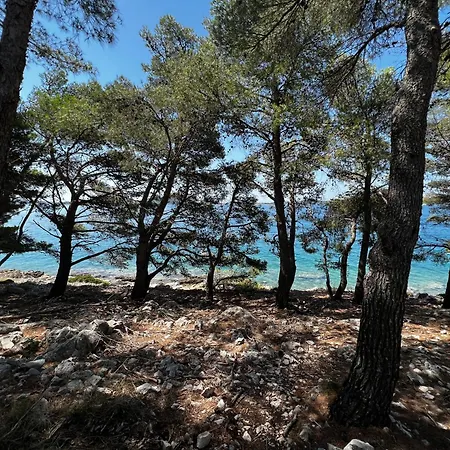 Dragon Bay - Falkor Hébergement de vacances Drage