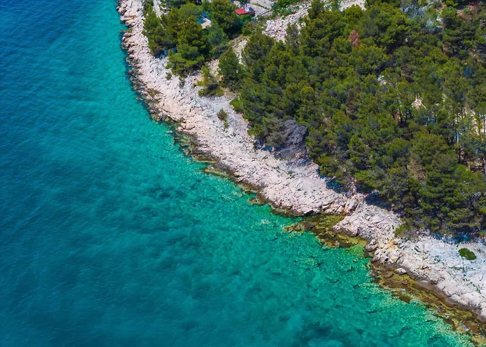 Dragon Bay - Falkor *
