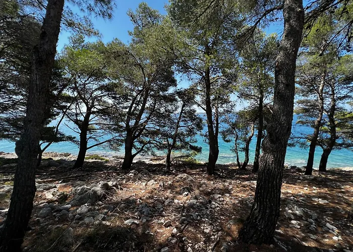 Dragon Bay - Falkor Hébergement de vacances Drage